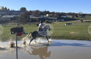 Елена Касакова и Ирина Никилова спечелиха по два медала на Държавния шампионат по всестранна езда