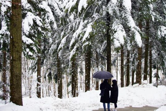 Идеи за зимни разходки и пътувания в България Зима