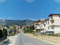 Кметът на Борино се закани да сложи ред с безпризорно пуснатите животни по пътя заради катастрофа Кметът на Борино се закани да сложи ред с безпризорно пуснатите животни по пътя заради катастрофа