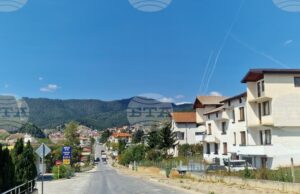 Кметът на Борино се закани да сложи ред с безпризорно пуснатите животни по пътя заради катастрофа