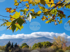 Много добри са условията за туризъм днес Много добри са условията за туризъм днес, казаха от Планинската спасителна служба на БЧК