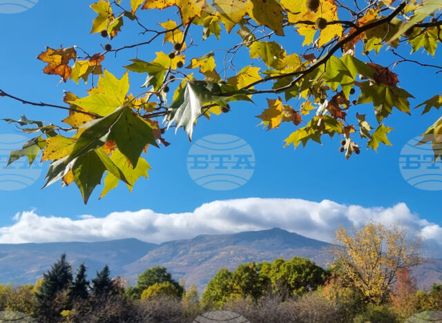 Много добри са условията за туризъм днес Много добри са условията за туризъм днес, казаха от Планинската спасителна служба на БЧК