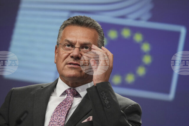 Новият пакет за икономическа сигурност на ЕС ще включва ограничения Новият пакет за икономическа сигурност на ЕС ще включва ограничения върху износа, обяви еврокомисарят по търговията Марош Шефчович