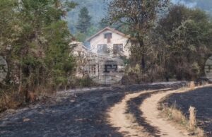 Осем отбора са участвали в провелия се благотворителен футболен турнир за „Купата на кмета“ в Трън