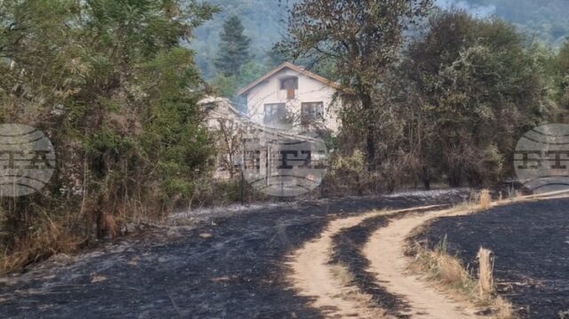 Осем отбора са участвали в провелия се благотворителен футболен турнир Осем отбора са участвали в провелия се благотворителен футболен турнир за „Купата на кмета“ в Трън