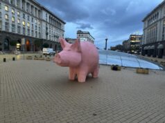 Прасе касичка