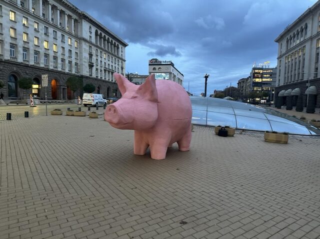 Прасе касичка