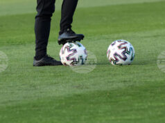 Павел Дочев направи първа тренировка като старши треньор на германския футболен клуб Улм Павел Дочев направи първа тренировка като старши треньор на германския футболен клуб Улм