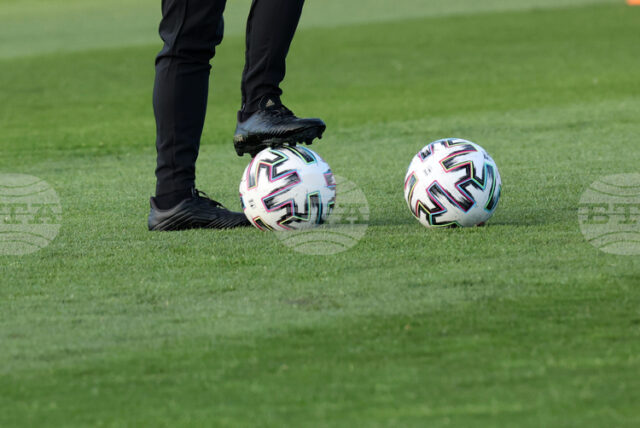 Павел Дочев направи първа тренировка като старши треньор на германския Павел Дочев направи първа тренировка като старши треньор на германския футболен клуб Улм