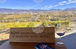 По следите на българското вино:
                                                                                                Долината на Струма е свързана с гроздето и виното още от древността, а в наши дни е един от пионерите на винения туризъм у нас