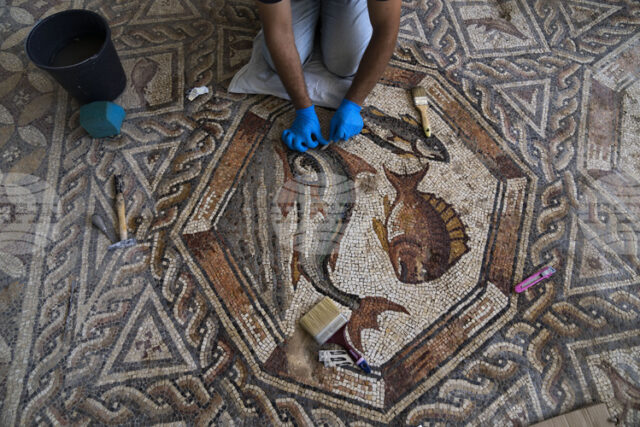 Подова мозайка от римската епоха с изображение на богиня на Подова мозайка от римската епоха с изображение на богиня на изобилието беше открита в Турция