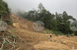 При свлачище в Кения загинаха 21 души, а над 30 са в неизвестност