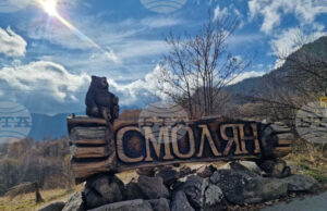 Работни места за клиничен психолог, корепетитор и инженери са обявени в бюрата по труда в област Смолян