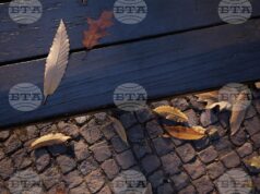 време, есен