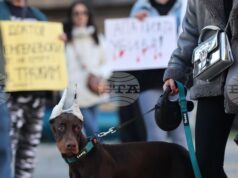 „Те не могат да говорят, ти защо мълчиш?“ – граждани в София поискаха насилието над животни да спре "Те не могат да говорят, ти защо мълчиш?" - граждани в София поискаха насилието над животни да спре