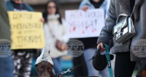 "Те не могат да говорят, ти защо мълчиш?" - граждани в София поискаха насилието над животни да спре