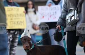 „Те не могат да говорят, ти защо мълчиш?“ – граждани в София поискаха насилието над животни да спре "Те не могат да говорят, ти защо мълчиш?" - граждани в София поискаха насилието над животни да спре