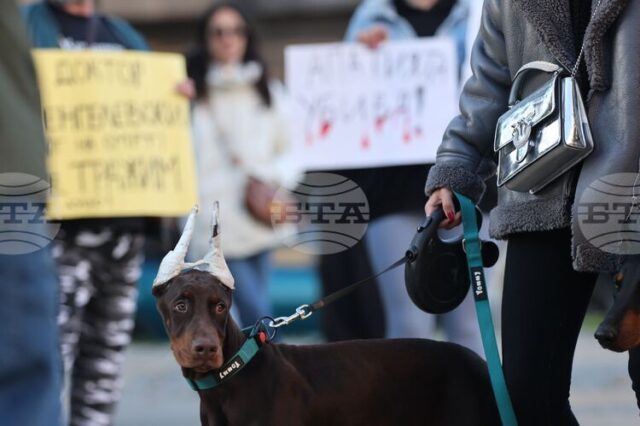 "Те не могат да говорят, ти защо мълчиш?" – граждани "Те не могат да говорят, ти защо мълчиш?" - граждани в София поискаха насилието над животни да спре