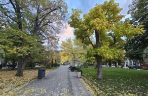 Топло и почти тихо време днес, захлаждане и дъждове в следващите дни Времето