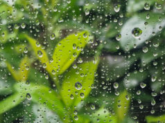 времето, дъжд, пролет