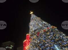 Хиляди светлини на коледната елха в София ще грейнат на 2 декември Хиляди светлини на коледната елха в София ще грейнат на 2 декември