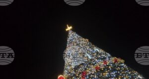 Хиляди светлини на коледната елха в София ще грейнат на 2 декември