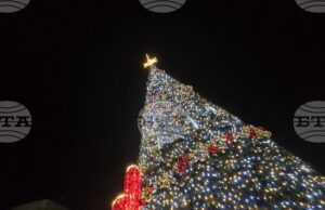 Хиляди светлини на коледната елха в София ще грейнат на 2 декември