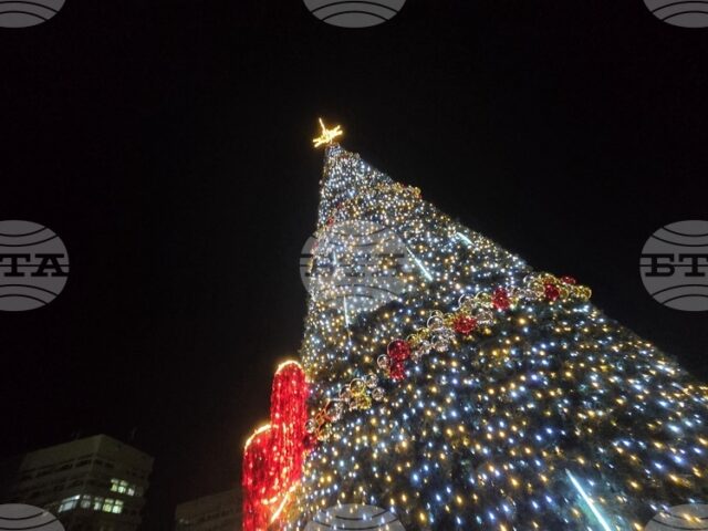 Хиляди светлини на коледната елха в София ще грейнат на 2 декември