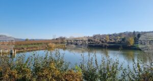 Язовирите в областите Благоевград и Кюстендил разполагат с необходимите свободни обеми, съобщават от МЗХ по повод обилните валежи от дъжд