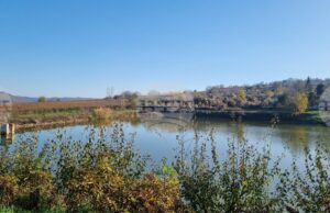 Язовирите в областите Благоевград и Кюстендил разполагат с необходимите свободни обеми, съобщават от МЗХ по повод обилните валежи от дъжд