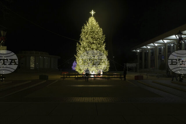 Тръмп обяви Бъдни вечер и 26 декември за празници Тръмп обяви Бъдни вечер и 26 декември за празници