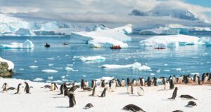 Антарктида