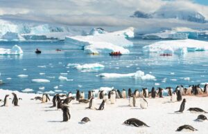 Антарктида