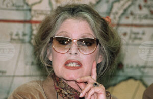 Брижит Бардо е вдъхновение за музиканти, посветили й песни