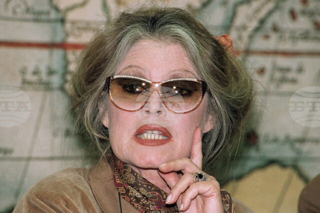 Брижит Бардо е вдъхновение за музиканти, посветили й песни