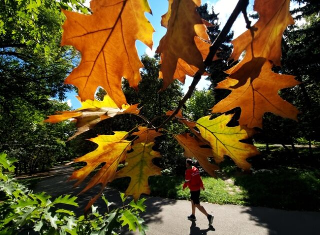 Есен, слънчево време