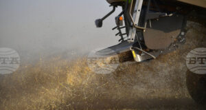 Глобалните стокови пазари отново останаха сравнително спокойни през изминалата седмица, отчитат експертите на Софийската стокова борса