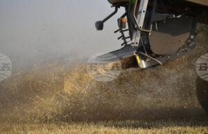 Глобалните стокови пазари отново останаха сравнително спокойни през изминалата седмица, отчитат експертите на Софийската стокова борса