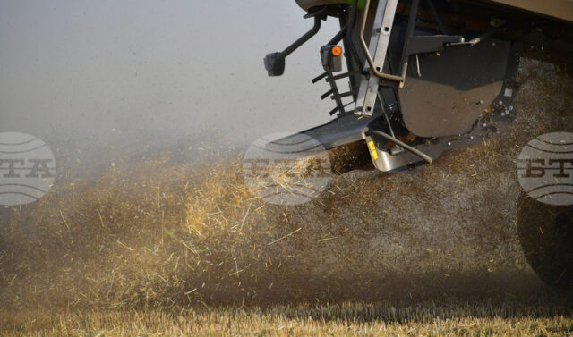 Глобалните стокови пазари отново останаха сравнително спокойни през изминалата седмица, Глобалните стокови пазари отново останаха сравнително спокойни през изминалата седмица, отчитат експертите на Софийската стокова борса