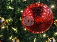 Грейнаха светлините на коледната елха в Троян Грейнаха светлините на коледната елха в Троян