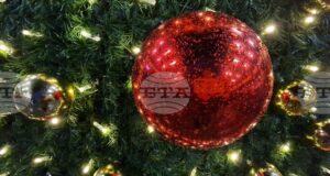 Грейнаха светлините на коледната елха в Троян