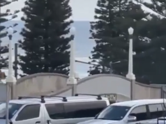 Ден на траур в Австралия: Какво се знае до момента за стрелбата в Бондай Ден на траур в Австралия: Какво се знае до момента за стрелбата в Бондай