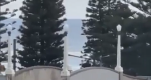 Ден на траур в Австралия: Какво се знае до момента за стрелбата в Бондай