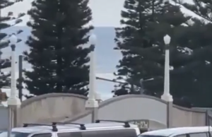 Ден на траур в Австралия: Какво се знае до момента за стрелбата в Бондай