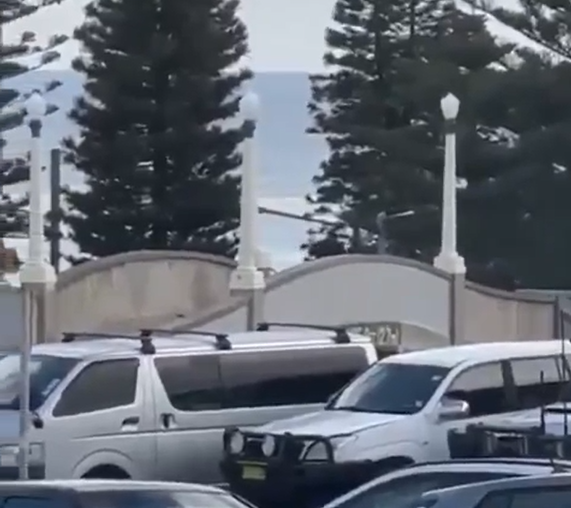 Ден на траур в Австралия: Какво се знае до момента Ден на траур в Австралия: Какво се знае до момента за стрелбата в Бондай