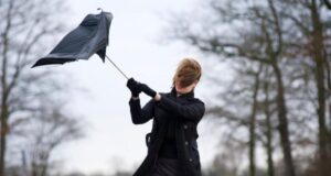 вятър, време, прогноза