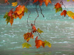 Дъжд, силен вятър и ниски температури: нестабилно време обхваща страната през следващите дни есен - дъжд