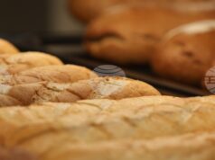 Едни от първите щандове от инициативата „Магазин за хората“ ще бъдат официално открити в Куклен днес Едни от първите щандове от инициативата "Магазин за хората" ще бъдат официално открити в Куклен днес