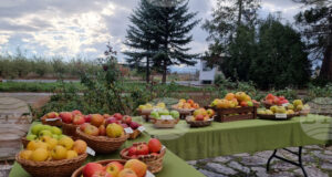 Електронните формуляри за обвързано подпомагане на плодове и зеленчуци за Кампания 2025 са публикувани на страницата на Държавен фонд „Земеделие“