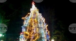 Жива коледна елха, посадена преди 22 години, грейна в градския парк в Борово